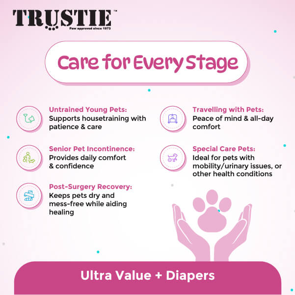 Trustie 02
