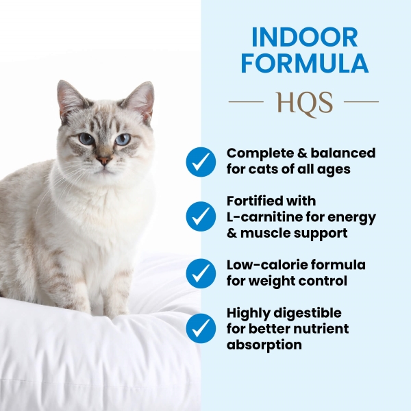 Indoor 01