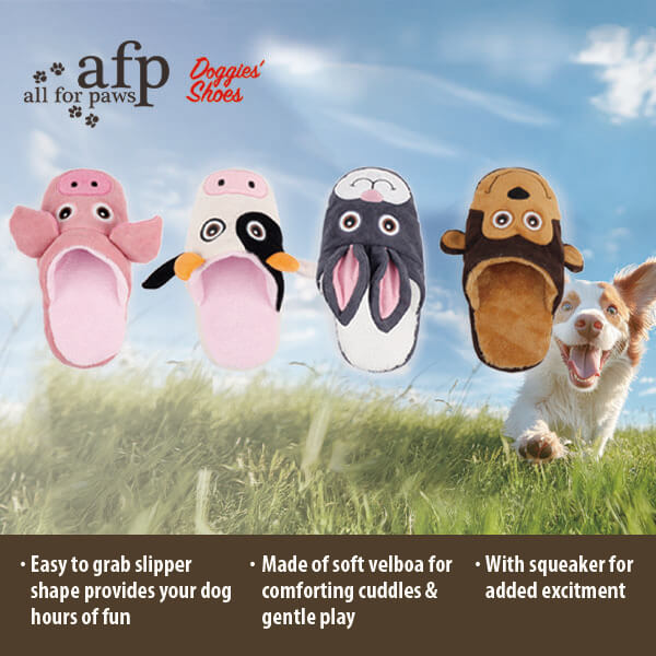 Slipper Slipper