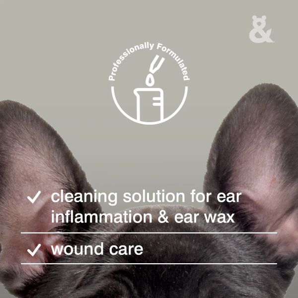 Ear 02