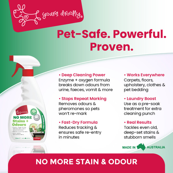 No More Stains