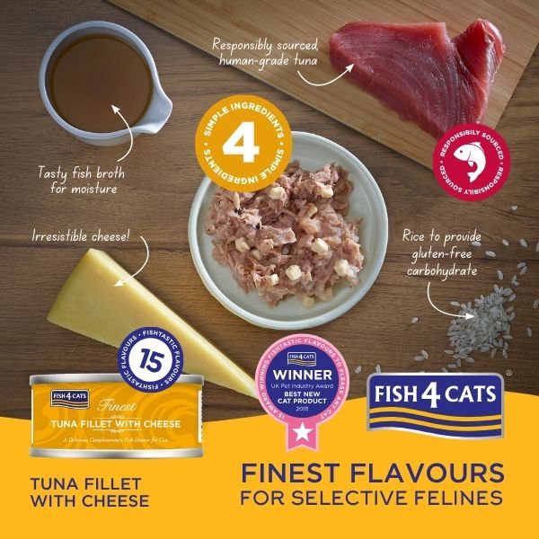Tuna With Cheese