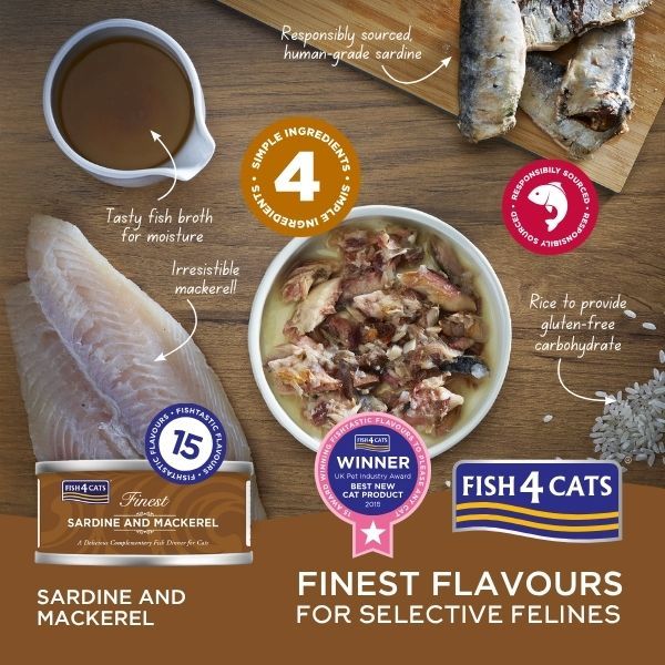 Sardine