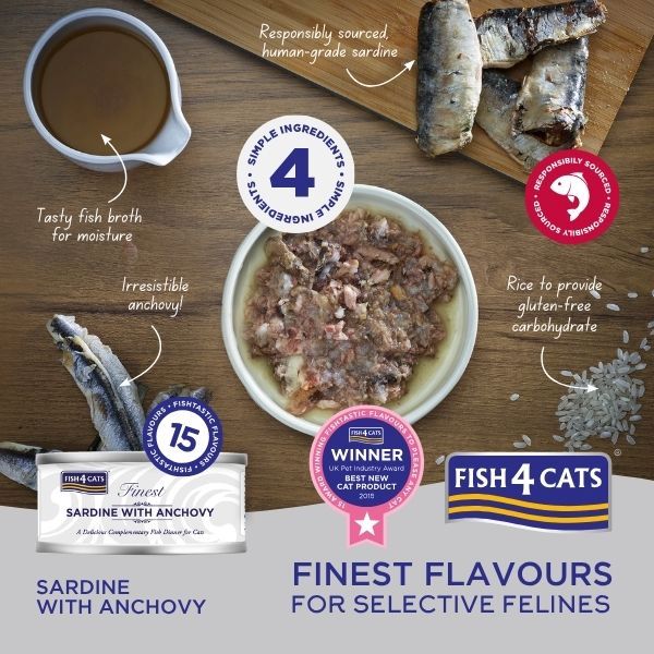 Sardine anchovy 01