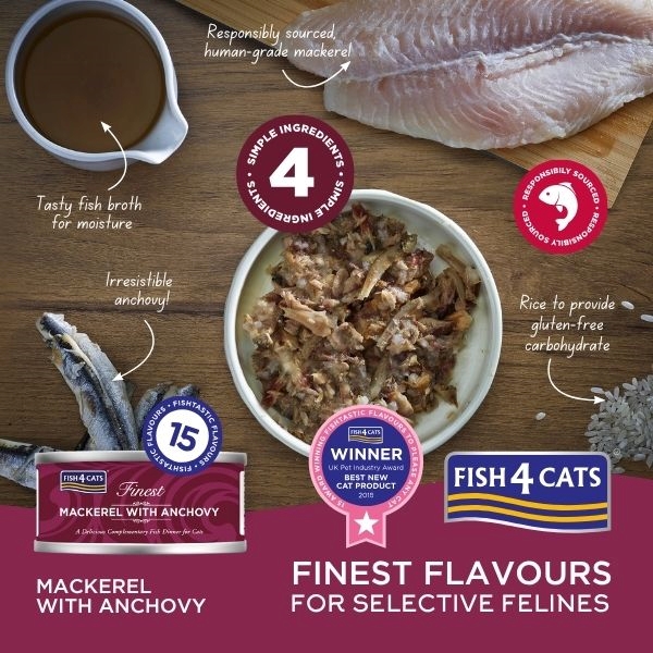 Mackerel anchovy