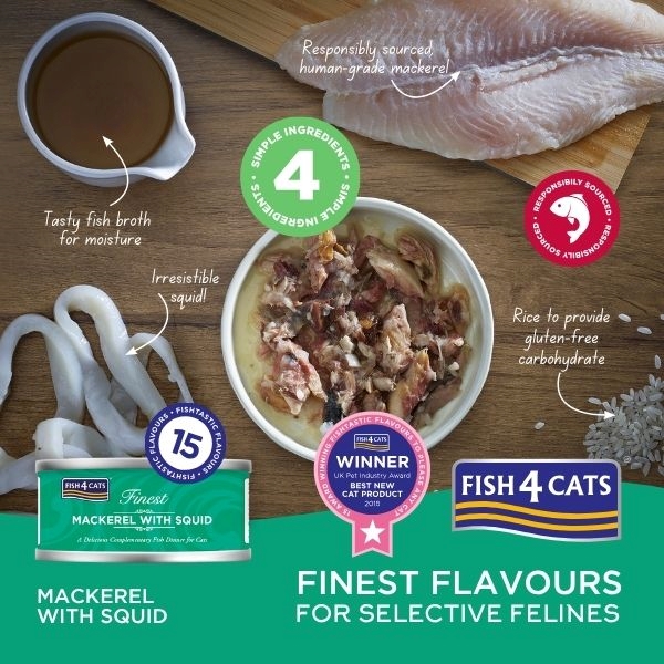 Mackereal Squid