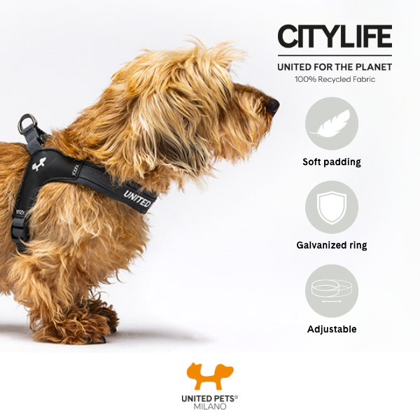 harness 05