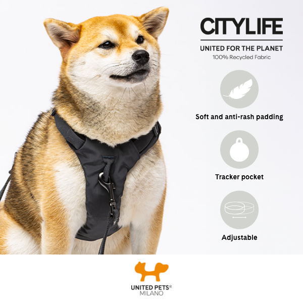 Harness 09