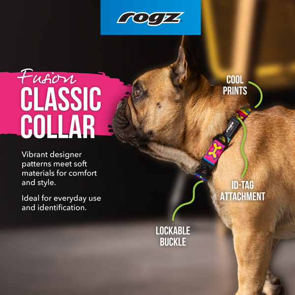 Collar 01
