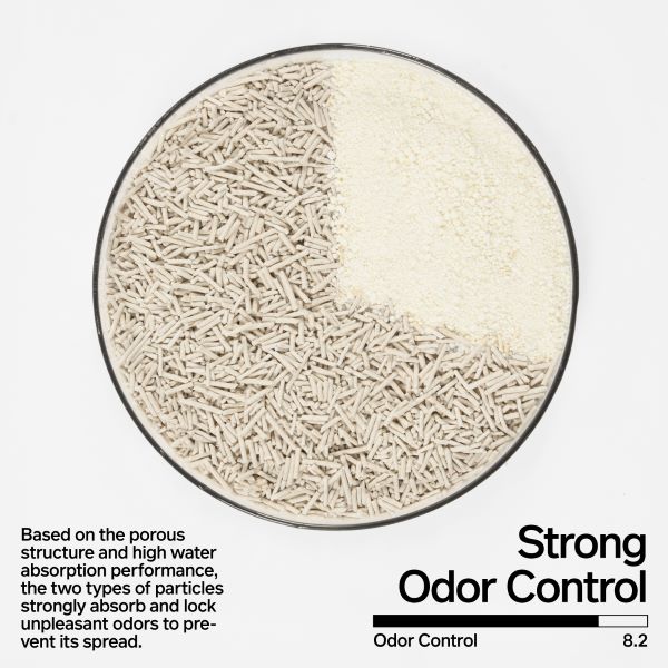 image 05