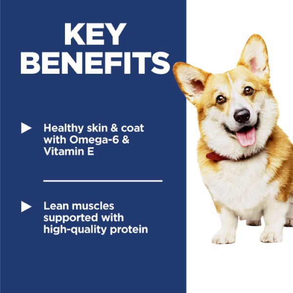 image 02