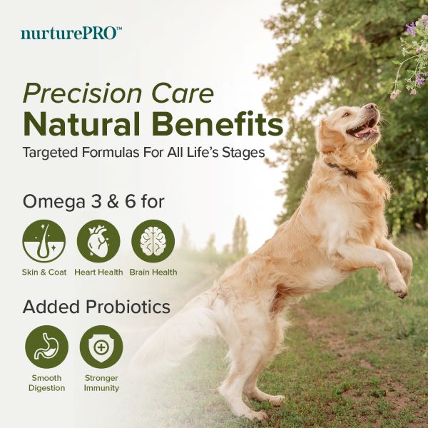 image 02