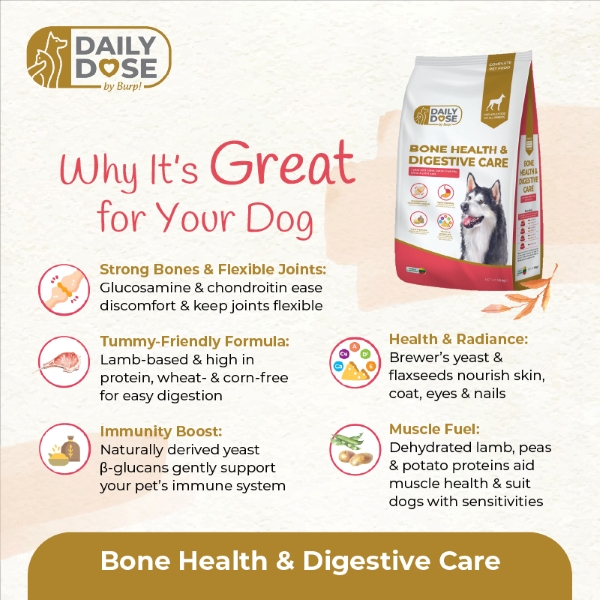Bone Health 1