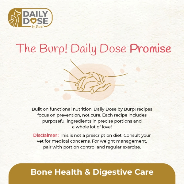Bone Health 4