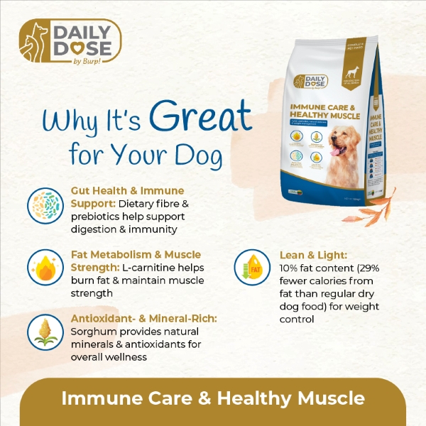 Immune 1