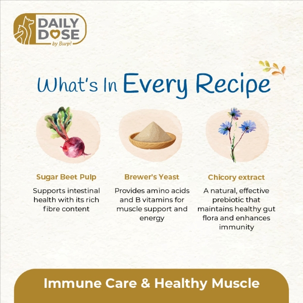 Immune 2
