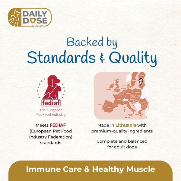 Immune 3