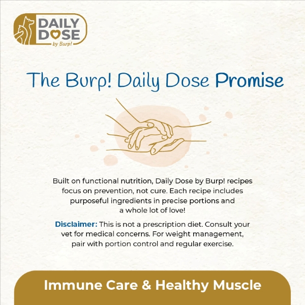 Immune 4