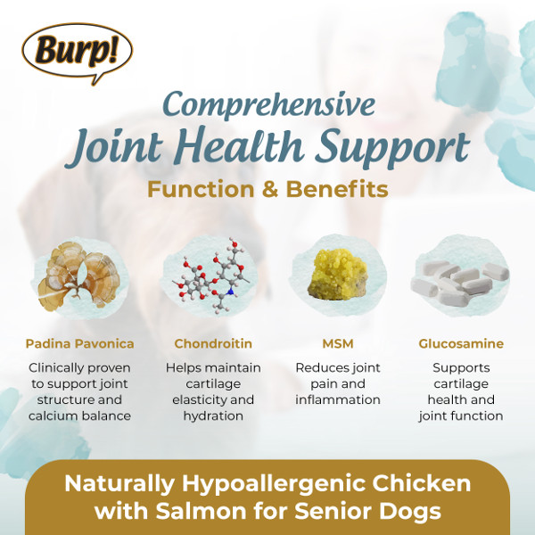 FactSheet-Burp-DogDryFd-July25-02