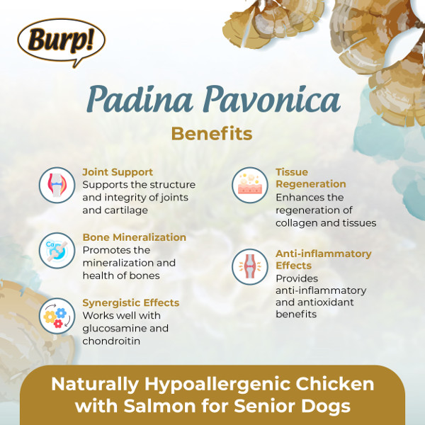 FactSheet-Burp-DogDryFd-July25-03