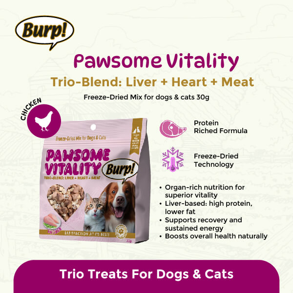 Chicken 4