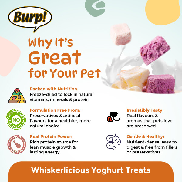 Yoghurt 1