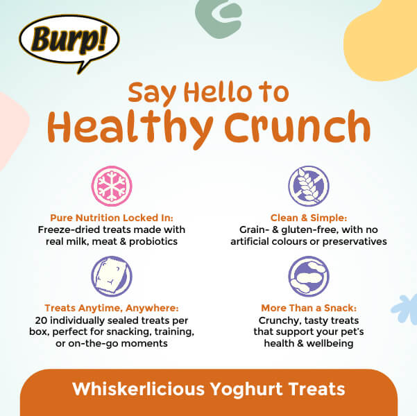 Yoghurt 2