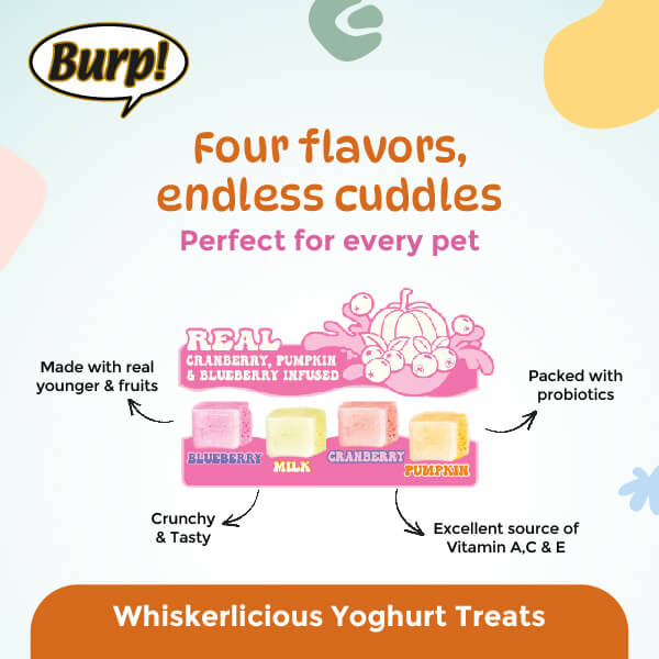 Yoghurt 3