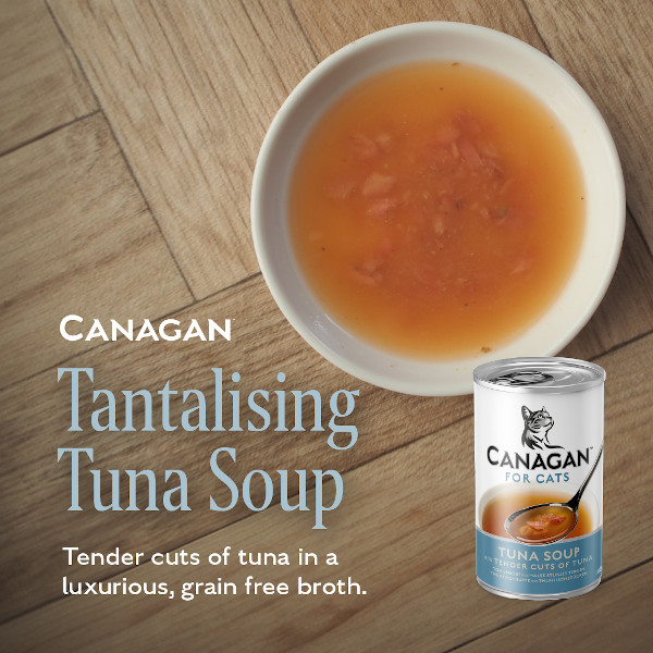 Canagan Cat Tuna Canagan Cat Tuna