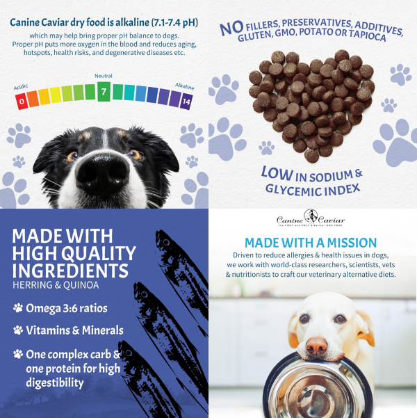 Canine Caviar Herring