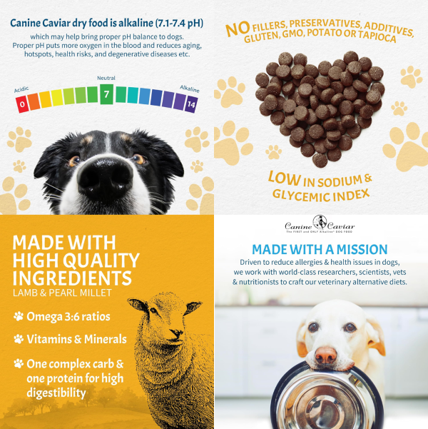 Canine Caviar Lamb