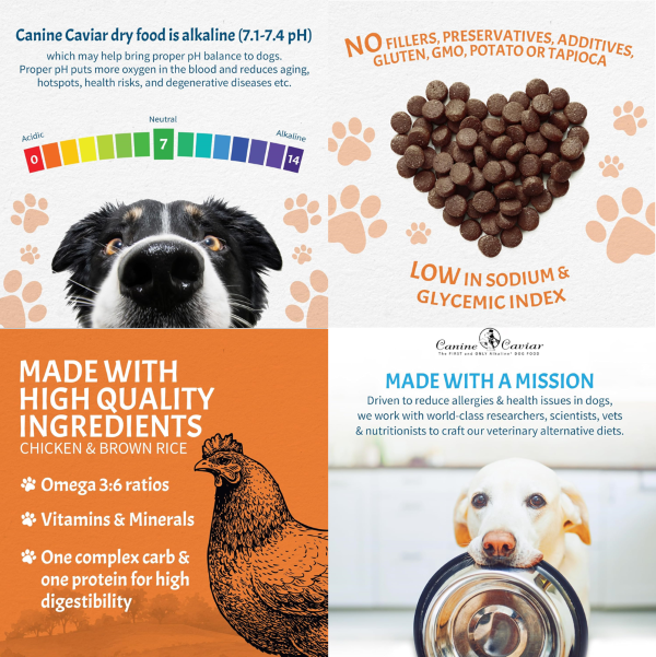 Canine Caviar Senior