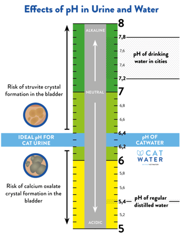 Cat Water PH