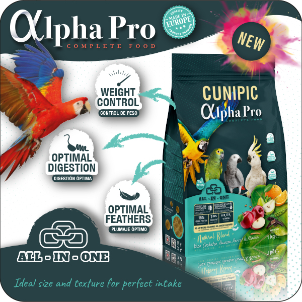 Cunipic 01