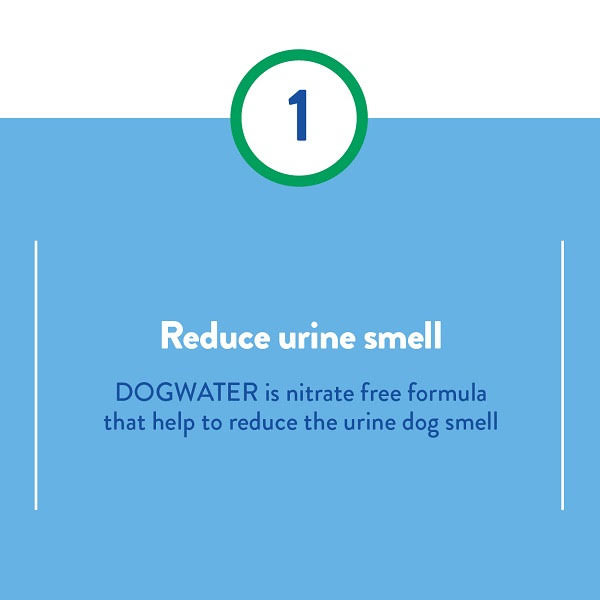 Reduce Urine Smell