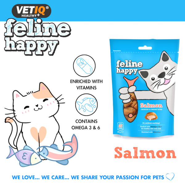 Feline Happy Salmon 2 Feline Happy Salmon 2