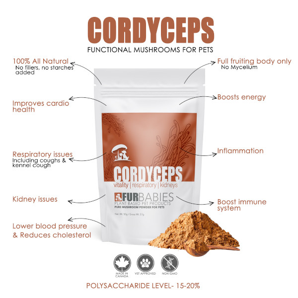 Furbabies Cordyceps Factsheet