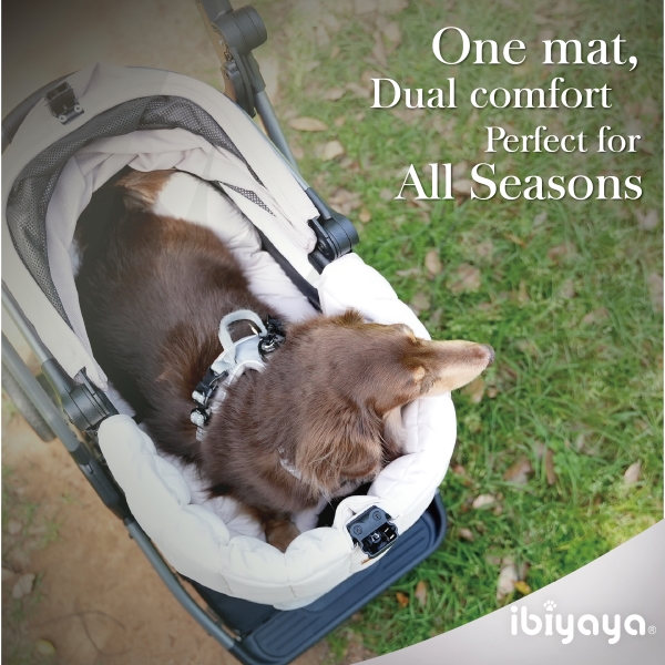 1a. All Seasons Cushion Set - USP