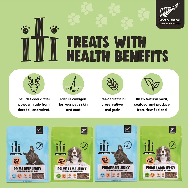 Healthy Dog Treats Healthy Dog Treats