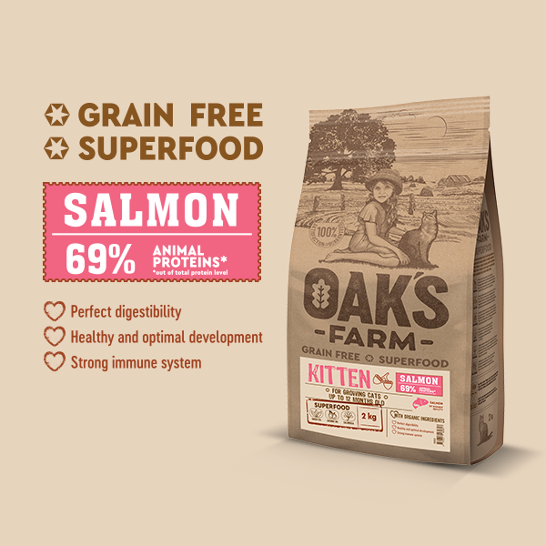 Oak's Farm Kitten Salmon
