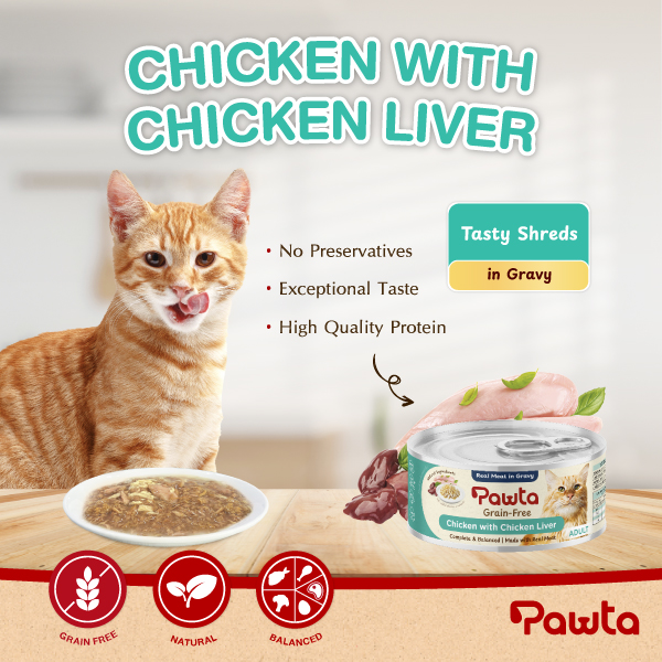 Pawta Chicken w Chicken Liver 1