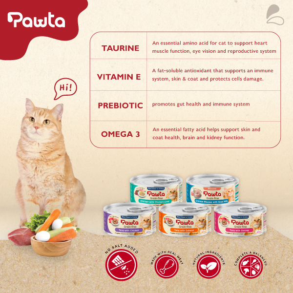 Pawta Kitten 2