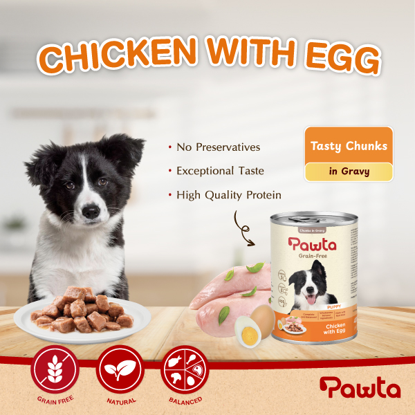- Puppy Chicken With Egg 1