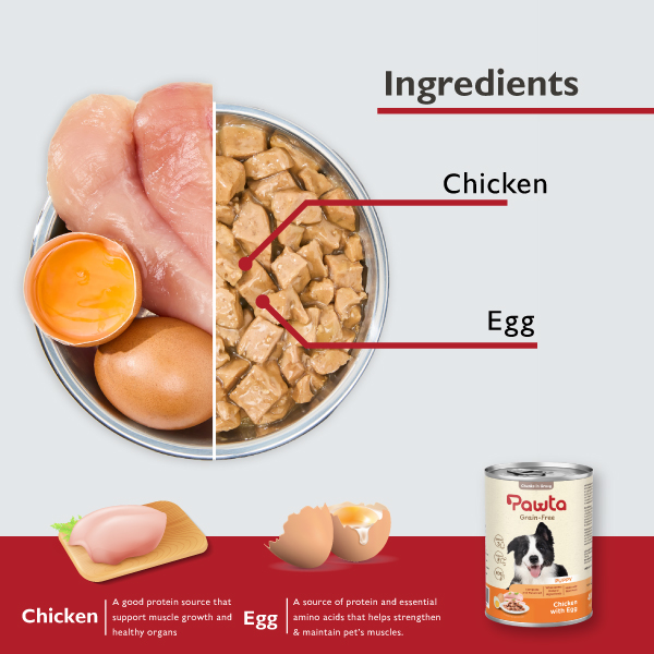 - Puppy Chicken With Egg 2