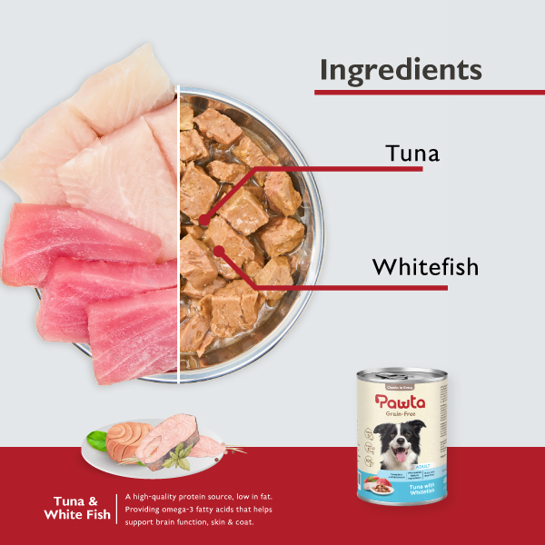 - Tuna With Whitefish 2