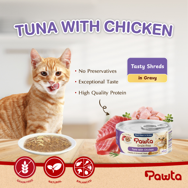 Pawta Tuna w Chicken 1