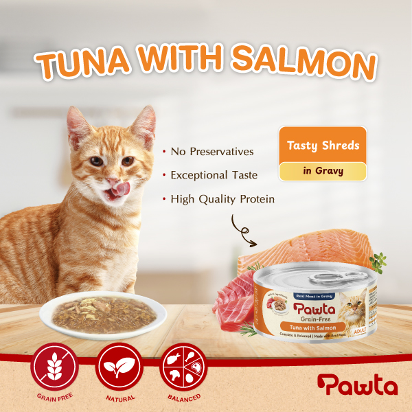 Pawta Tuna w Salmon 1