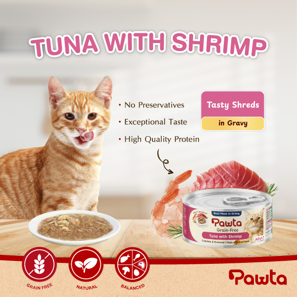 Pawta Tuna w Shrimp 1