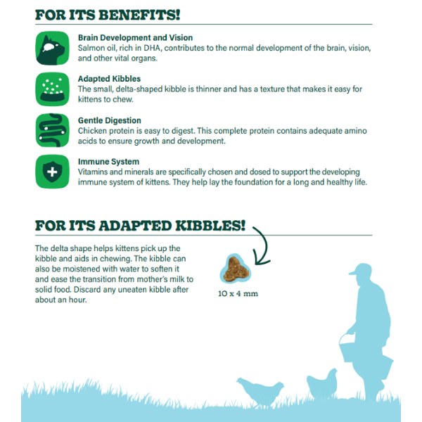 3B. Kitten Chicken