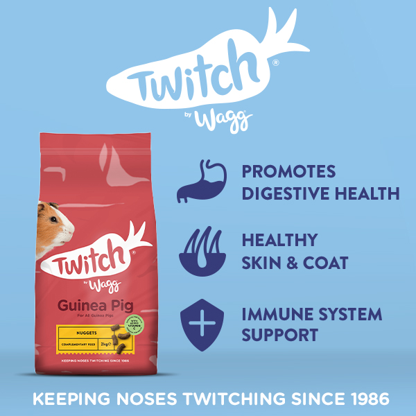 Wagg Guinea Pig Factsheet